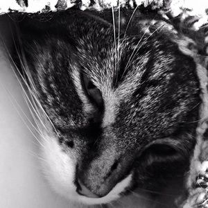 Meet your Posher, Oona